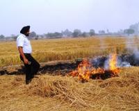 ਕੁਦਰਤ ਦੀ ਸਾਂਭ-ਸੰਭਾਲ ਕਰਨਾ ਸਾਡਾ ਸਾਰਿਆਂ ਦਾ ਮੁੱਢਲਾ ਫਰਜ਼ ਹੈ-ਡੀਸੀ ਕੁਲਵੰਤ ਸਿੰਘ